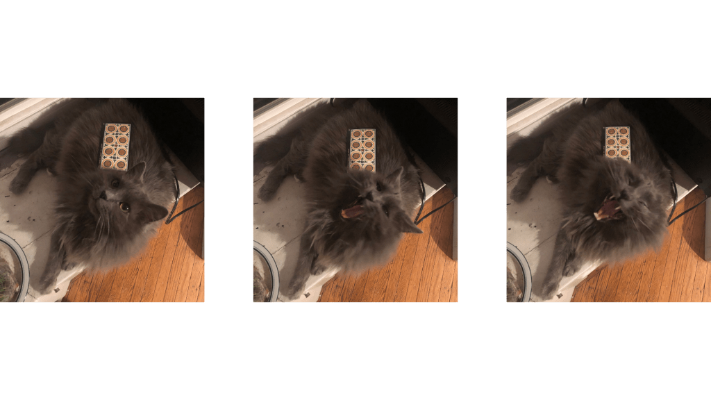 Deal of the Week: Eight of&nbsp;Pentacles